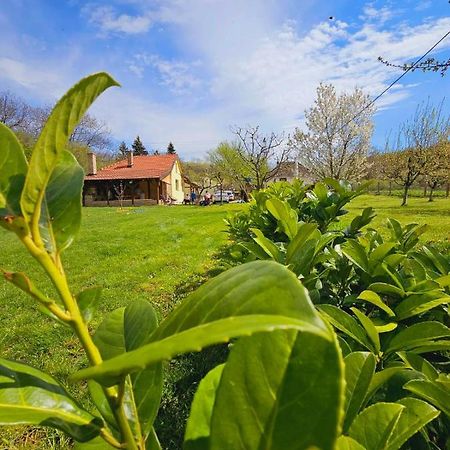 Fruska House Villa Besenovacki Prnjavor Eksteriør billede