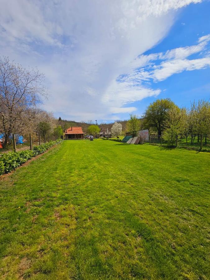 Fruska House Villa Besenovacki Prnjavor Eksteriør billede