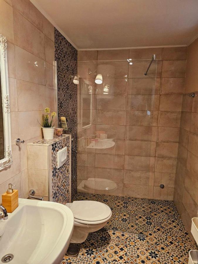 Fruska House Villa Besenovacki Prnjavor Eksteriør billede